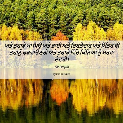 Picture 06 - ਲੂਕਾ 21:16 PANIRV - ਅਤੇ ਤੁਹਾਡੇ ਮਾਂ ਪਿਉ - Bible Verse Picture