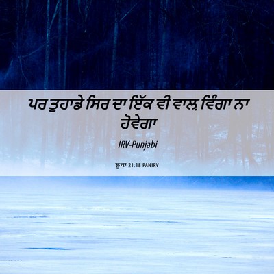 Picture 06 - ਲੂਕਾ 21:18 PANIRV - ਪਰ ਤੁਹਾਡੇ ਸਿਰ ਦਾ - Bible Verse Picture