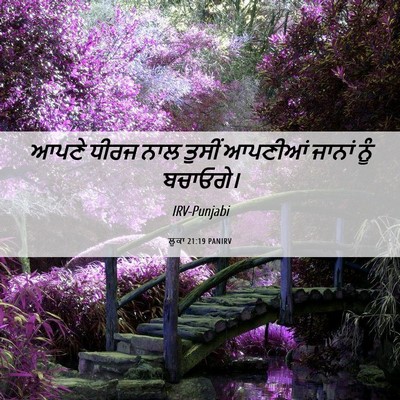 Picture 06 - ਲੂਕਾ 21:19 PANIRV - ਆਪਣੇ ਧੀਰਜ ਨਾਲ - Bible Verse Picture