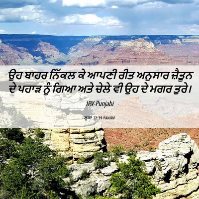 Picture 06 - ਲੂਕਾ 22:39 PANIRV - ਉਹ ਬਾਹਰ ਨਿੱਕਲ ਕੇ - Bible Verse Picture