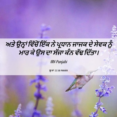 Picture 06 - ਲੂਕਾ 22:50 PANIRV - ਅਤੇ ਉਨ੍ਹਾਂ ਵਿੱਚੋਂ - Bible Verse Picture