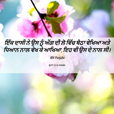Picture 06 - ਲੂਕਾ 22:56 PANIRV - ਇੱਕ ਦਾਸੀ ਨੇ ਉਸ ਨੂੰ - Bible Verse Picture