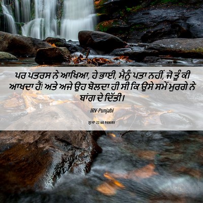 Picture 06 - ਲੂਕਾ 22:60 PANIRV - ਪਰ ਪਤਰਸ ਨੇ ਆਖਿਆ, ਹੇ - Bible Verse Picture
