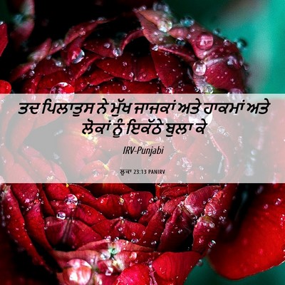 Picture 06 - ਲੂਕਾ 23:13 PANIRV - ਤਦ ਪਿਲਾਤੁਸ ਨੇ ਮੁੱਖ - Bible Verse Picture