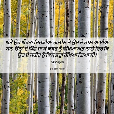 Picture 06 - ਲੂਕਾ 23:55 PANIRV - ਅਤੇ ਉਹ ਔਰਤਾਂ - Bible Verse Picture