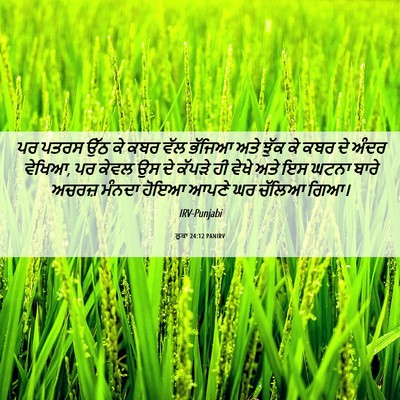 Picture 06 - ਲੂਕਾ 24:12 PANIRV - ਪਰ ਪਤਰਸ ਉੱਠ ਕੇ ਕਬਰ - Bible Verse Picture