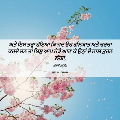 Picture 06 - ਲੂਕਾ 24:15 PANIRV - ਅਤੇ ਇਸ ਤਰ੍ਹਾਂ ਹੋਇਆ - Bible Verse Picture