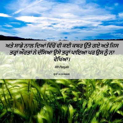 Picture 06 - ਲੂਕਾ 24:24 PANIRV - ਅਤੇ ਸਾਡੇ ਨਾਲ ਦਿਆਂ - Bible Verse Picture