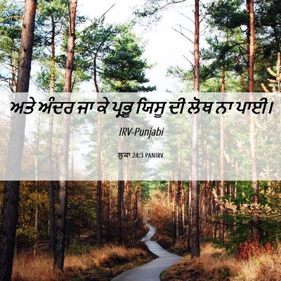 Picture 06 - ਲੂਕਾ 24:3 PANIRV - ਅਤੇ ਅੰਦਰ ਜਾ ਕੇ - Bible Verse Picture