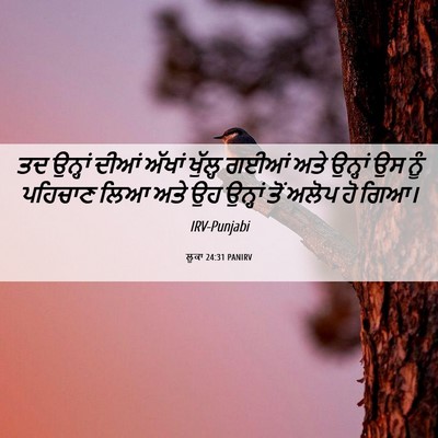 Picture 06 - ਲੂਕਾ 24:31 PANIRV - ਤਦ ਉਨ੍ਹਾਂ ਦੀਆਂ - Bible Verse Picture