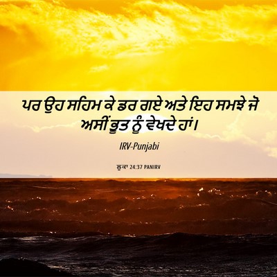 Picture 06 - ਲੂਕਾ 24:37 PANIRV - ਪਰ ਉਹ ਸਹਿਮ ਕੇ ਡਰ ਗਏ - Bible Verse Picture