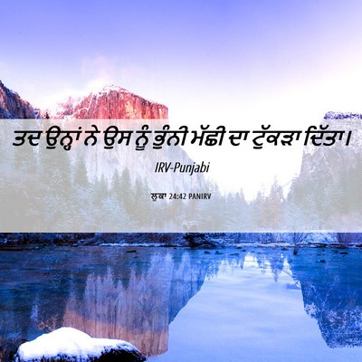 Picture 06 - ਲੂਕਾ 24:42 PANIRV - ਤਦ ਉਨ੍ਹਾਂ ਨੇ ਉਸ ਨੂੰ - Bible Verse Picture