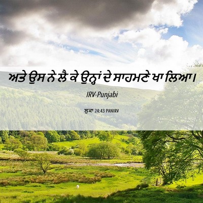 Picture 06 - ਲੂਕਾ 24:43 PANIRV - ਅਤੇ ਉਸ ਨੇ ਲੈ ਕੇ - Bible Verse Picture