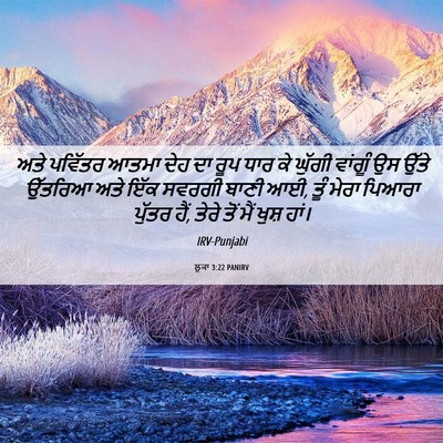 Picture 06 - ਲੂਕਾ 3:22 PANIRV - ਅਤੇ ਪਵਿੱਤਰ ਆਤਮਾ - Bible Verse Picture