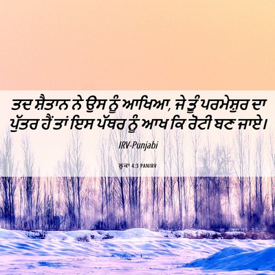 Picture 06 - ਲੂਕਾ 4:3 PANIRV - ਤਦ ਸ਼ੈਤਾਨ ਨੇ ਉਸ ਨੂੰ - Bible Verse Picture