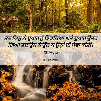 Picture 06 - ਲੂਕਾ 4:39 PANIRV - ਤਦ ਯਿਸੂ ਨੇ ਬੁਖ਼ਾਰ - Bible Verse Picture