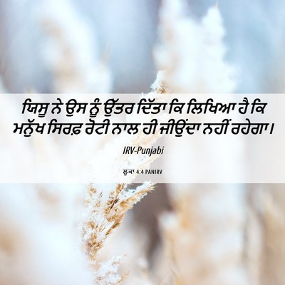 Picture 06 - ਲੂਕਾ 4:4 PANIRV - ਯਿਸੂ ਨੇ ਉਸ ਨੂੰ ਉੱਤਰ - Bible Verse Picture