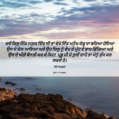 Picture 06 - ਲੂਕਾ 5:12 PANIRV - ਜਦੋਂ ਯਿਸੂ ਇੱਕ ਨਗਰ - Bible Verse Picture