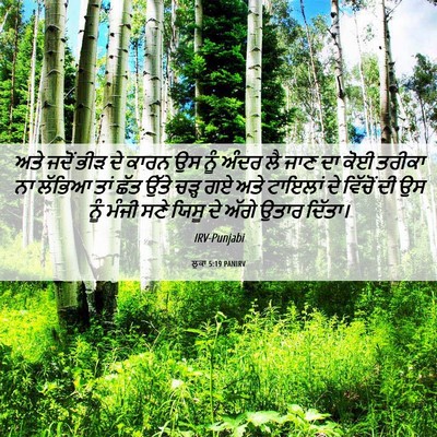 Picture 06 - ਲੂਕਾ 5:19 PANIRV - ਅਤੇ ਜਦੋਂ ਭੀੜ ਦੇ - Bible Verse Picture