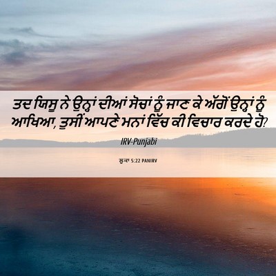 Picture 06 - ਲੂਕਾ 5:22 PANIRV - ਤਦ ਯਿਸੂ ਨੇ ਉਨ੍ਹਾਂ - Bible Verse Picture