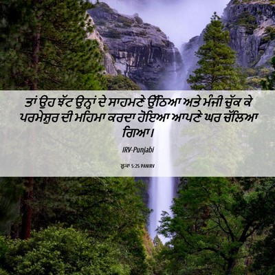 Picture 06 - ਲੂਕਾ 5:25 PANIRV - ਤਾਂ ਉਹ ਝੱਟ ਉਨ੍ਹਾਂ - Bible Verse Picture
