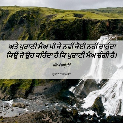 Picture 06 - ਲੂਕਾ 5:39 PANIRV - ਅਤੇ ਪੁਰਾਣੀ ਮੈਅ ਪੀ - Bible Verse Picture