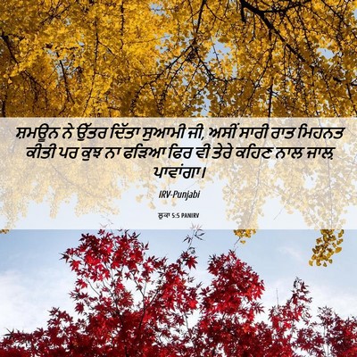 Picture 06 - ਲੂਕਾ 5:5 PANIRV - ਸ਼ਮਊਨ ਨੇ ਉੱਤਰ - Bible Verse Picture