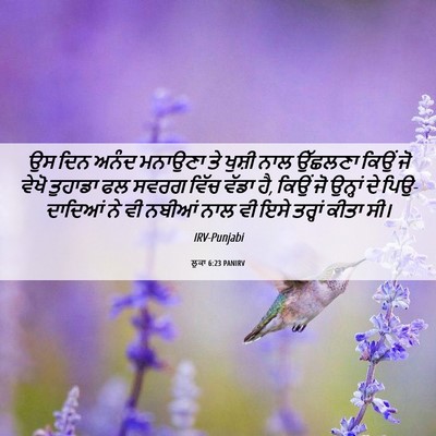Picture 06 - ਲੂਕਾ 6:23 PANIRV - ਉਸ ਦਿਨ ਅਨੰਦ ਮਨਾਉਣਾ - Bible Verse Picture