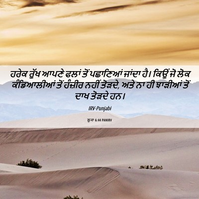 Picture 06 - ਲੂਕਾ 6:44 PANIRV - ਹਰੇਕ ਰੁੱਖ ਆਪਣੇ - Bible Verse Picture