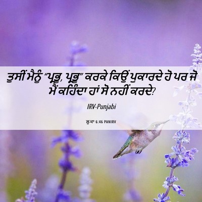 Picture 06 - ਲੂਕਾ 6:46 PANIRV - ਤੁਸੀਂ ਮੈਨੂੰ - Bible Verse Picture