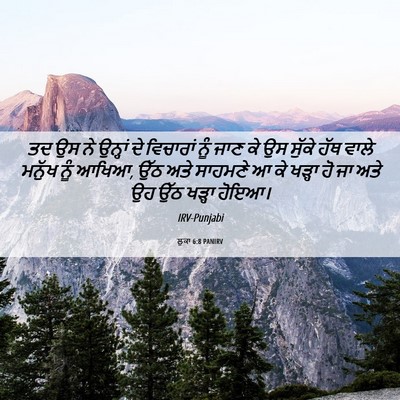 Picture 06 - ਲੂਕਾ 6:8 PANIRV - ਤਦ ਉਸ ਨੇ ਉਨ੍ਹਾਂ ਦੇ - Bible Verse Picture