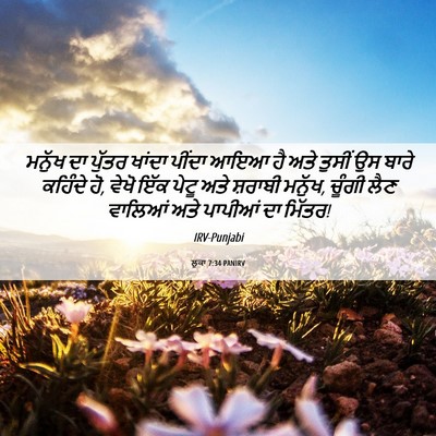 Picture 06 - ਲੂਕਾ 7:34 PANIRV - ਮਨੁੱਖ ਦਾ ਪੁੱਤਰ - Bible Verse Picture