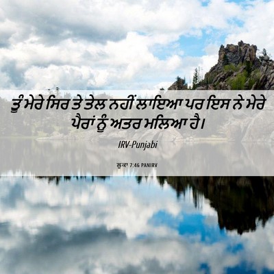 Picture 06 - ਲੂਕਾ 7:46 PANIRV - ਤੂੰ ਮੇਰੇ ਸਿਰ ਤੇ ਤੇਲ - Bible Verse Picture