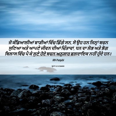 Picture 06 - ਲੂਕਾ 8:14 PANIRV - ਜੋ ਕੰਡਿਆਲੀਆਂ - Bible Verse Picture