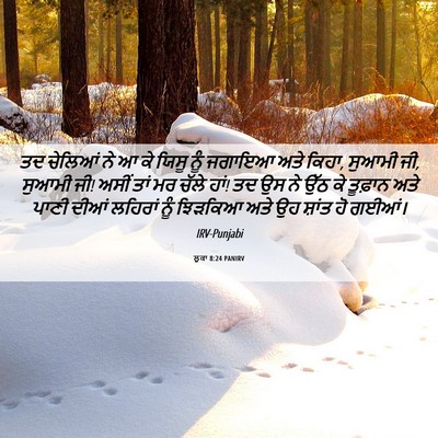 Picture 06 - ਲੂਕਾ 8:24 PANIRV - ਤਦ ਚੇਲਿਆਂ ਨੇ ਆ ਕੇ - Bible Verse Picture