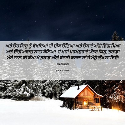 Picture 06 - ਲੂਕਾ 8:28 PANIRV - ਅਤੇ ਉਹ ਯਿਸੂ ਨੂੰ - Bible Verse Picture