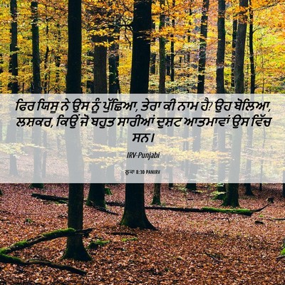 Picture 06 - ਲੂਕਾ 8:30 PANIRV - ਫਿਰ ਯਿਸੂ ਨੇ ਉਸ ਨੂੰ - Bible Verse Picture