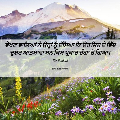 Picture 06 - ਲੂਕਾ 8:36 PANIRV - ਵੇਖਣ ਵਾਲਿਆਂ ਨੇ - Bible Verse Picture