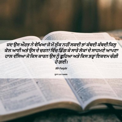 Picture 06 - ਲੂਕਾ 8:47 PANIRV - ਜਦ ਉਸ ਔਰਤ ਨੇ ਵੇਖਿਆ - Bible Verse Picture