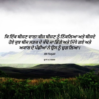 Picture 06 - ਲੂਕਾ 8:5 PANIRV - ਕਿ ਇੱਕ ਬੀਜਣ ਵਾਲਾ - Bible Verse Picture