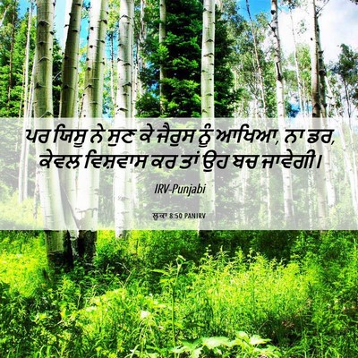 Picture 06 - ਲੂਕਾ 8:50 PANIRV - ਪਰ ਯਿਸੂ ਨੇ ਸੁਣ ਕੇ - Bible Verse Picture