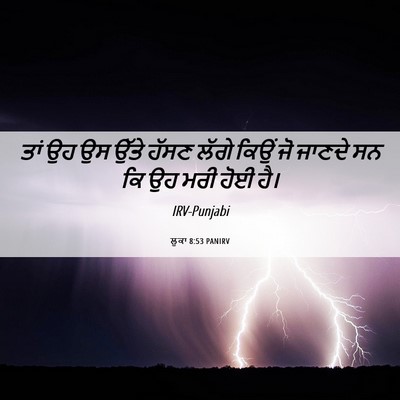 Picture 06 - ਲੂਕਾ 8:53 PANIRV - ਤਾਂ ਉਹ ਉਸ ਉੱਤੇ ਹੱਸਣ - Bible Verse Picture