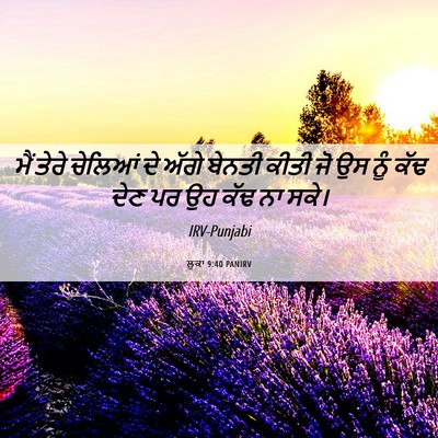 Picture 06 - ਲੂਕਾ 9:40 PANIRV - ਮੈਂ ਤੇਰੇ ਚੇਲਿਆਂ ਦੇ - Bible Verse Picture