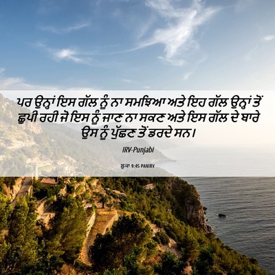 Picture 06 - ਲੂਕਾ 9:45 PANIRV - ਪਰ ਉਨ੍ਹਾਂ ਇਸ ਗੱਲ - Bible Verse Picture