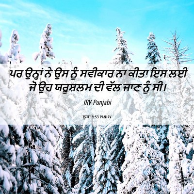 Picture 06 - ਲੂਕਾ 9:53 PANIRV - ਪਰ ਉਨ੍ਹਾਂ ਨੇ ਉਸ ਨੂੰ - Bible Verse Picture