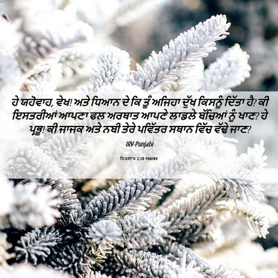 Picture 06 - ਵਿਰਲਾਪ 2:20 PANIRV - ਹੇ ਯਹੋਵਾਹ, ਵੇਖ! ਅਤੇ - Bible Verse Picture