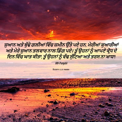 Picture 06 - ਵਿਰਲਾਪ 2:21 PANIRV - ਜੁਆਨ ਅਤੇ ਬੁੱਢੇ - Bible Verse Picture