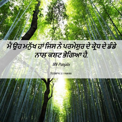 Picture 06 - ਵਿਰਲਾਪ 3:1 PANIRV - ਮੈਂ ਉਹ ਮਨੁੱਖ ਹਾਂ - Bible Verse Picture