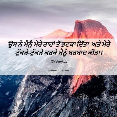 Picture 06 - ਵਿਰਲਾਪ 3:11 PANIRV - ਉਸ ਨੇ ਮੈਨੂੰ ਮੇਰੇ - Bible Verse Picture