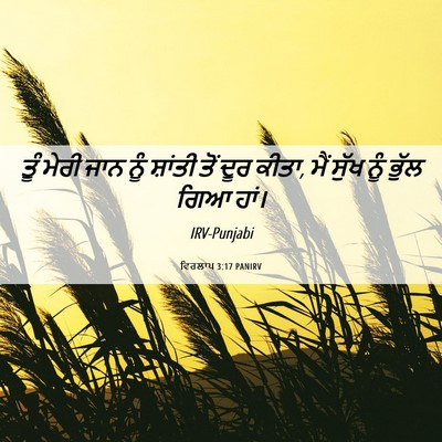 Picture 06 - ਵਿਰਲਾਪ 3:17 PANIRV - ਤੂੰ ਮੇਰੀ ਜਾਨ ਨੂੰ - Bible Verse Picture